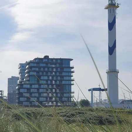 Park Tower Sea View With Pool And Gym Apartment *
