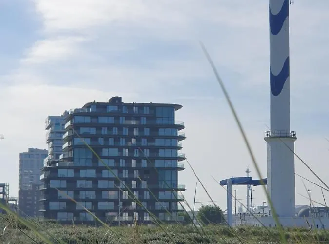 Park Tower Sea View With Pool And Gym Appartement *